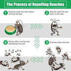 Cockroach Killer Gel Pack of 2 | Powerful Roach Control Solution