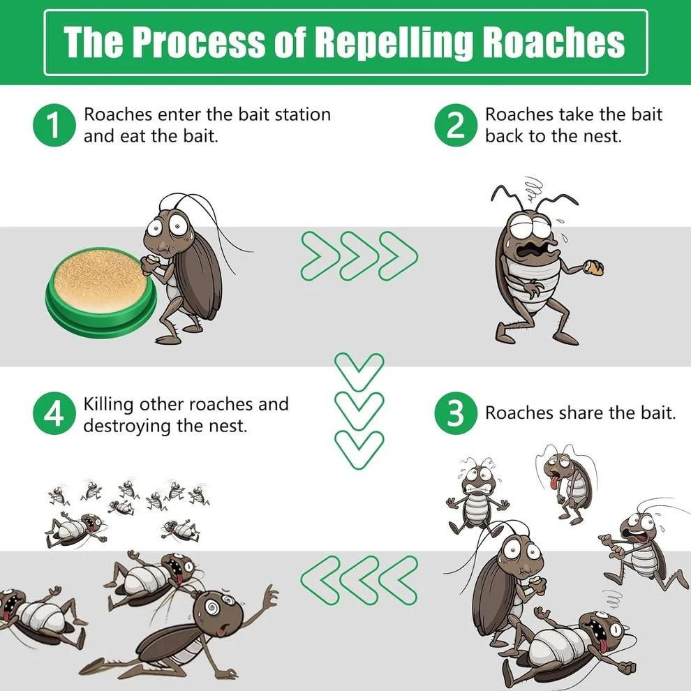 Cockroach Killer Gel Pack of 2 | Powerful Roach Control Solution