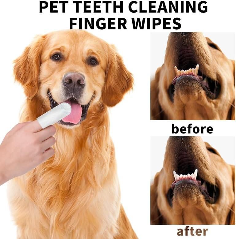Disposable Dental Finger Wipes for Pets | Dog & Cat Teeth Cleaning Wipes (50 Count)