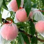 Fruit Protection Bags with Drawstring Pack of 25 | Nylon Mesh Plant Cover