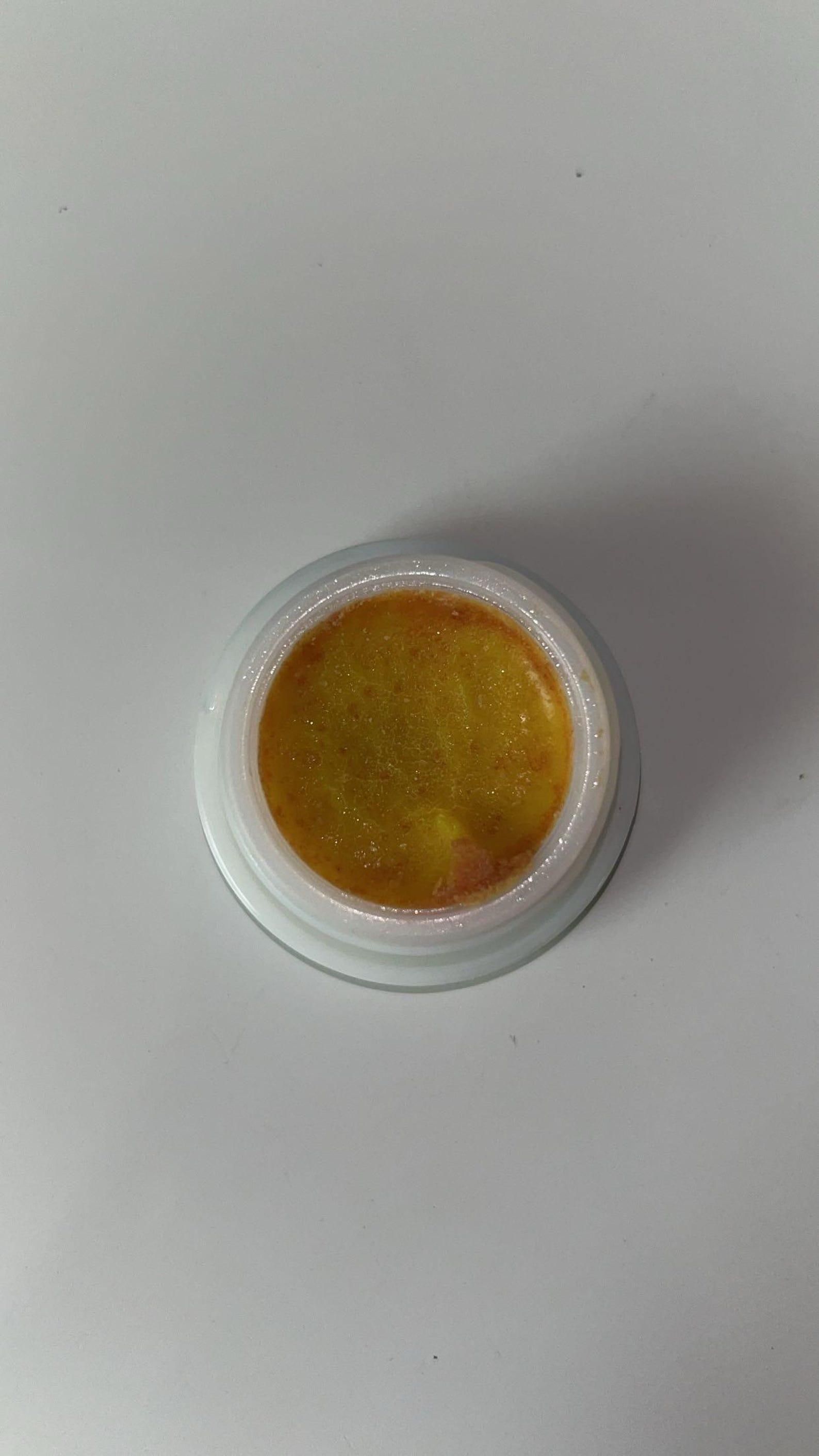 Cockroach Killer Gel Pack of 2 | Powerful Roach Control Solution