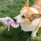 2-in-1 Portable Dog Water Bottle – Leak-Proof Stainless Steel Travel Bottle for Small Dogs
