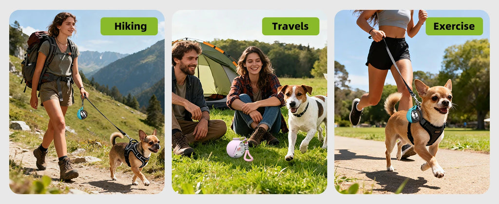 2-in-1 Portable Dog Water Bottle – Leak-Proof Stainless Steel Travel Bottle for Small Dogs