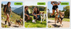 2-in-1 Portable Dog Water Bottle – Leak-Proof Stainless Steel Travel Bottle for Small Dogs