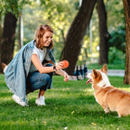 Pet Dog Chew Ball Toy – Durable Rubber Bouncy Ball for Aggressive Chewers, Fetch Training & Teeth Cleaning