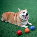 Pet Dog Chew Ball Toy – Durable Rubber Bouncy Ball for Aggressive Chewers, Fetch Training & Teeth Cleaning