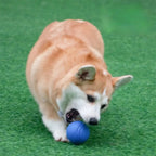 Pet Dog Chew Ball Toy – Durable Rubber Bouncy Ball for Aggressive Chewers, Fetch Training & Teeth Cleaning
