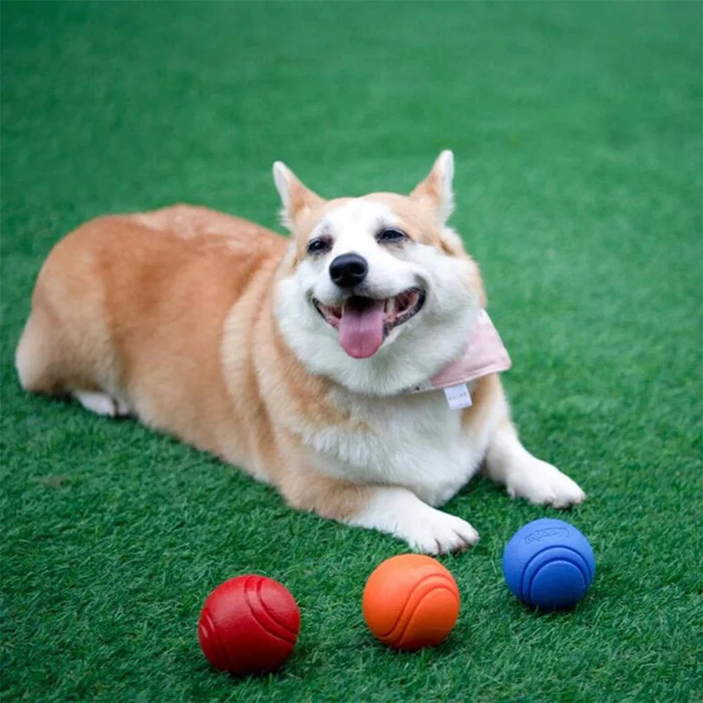 Pet Dog Chew Ball Toy – Durable Rubber Bouncy Ball for Aggressive Chewers, Fetch Training & Teeth Cleaning