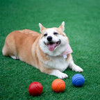 Pet Dog Chew Ball Toy – Durable Rubber Bouncy Ball for Aggressive Chewers, Fetch Training & Teeth Cleaning