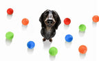 Pet Dog Chew Ball Toy – Durable Rubber Bouncy Ball for Aggressive Chewers, Fetch Training & Teeth Cleaning
