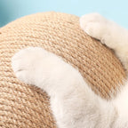 Cat Scratching Ball Toy with Sisal Rope – Wooden Kitten Scratcher for Claw Grinding, Interactive Play & Furniture Protection