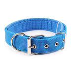 Solid Nylon Dog Collar for Small Medium and Large Dogs – Adjustable Breakaway Pet Collar