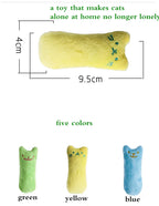 Catnip Cat Toy Interactive Plush Chew Toy for Cats and Kittens
