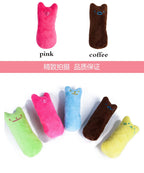 Catnip Cat Toy Interactive Plush Chew Toy for Cats and Kittens
