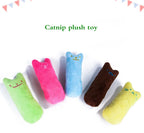 Catnip Cat Toy Interactive Plush Chew Toy for Cats and Kittens