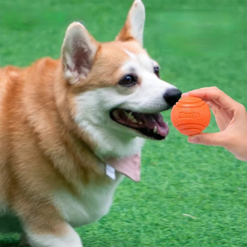Pet Dog Chew Ball Toy – Durable Rubber Bouncy Ball for Aggressive Chewers, Fetch Training & Teeth Cleaning