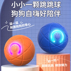 Interactive Pet Ball Toy for Cats & Dogs – Durable TPR Bouncy Ball for Active Play & Exercise