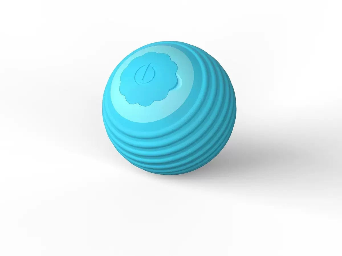Interactive Pet Ball Toy for Cats & Dogs – Durable TPR Bouncy Ball for Active Play & Exercise