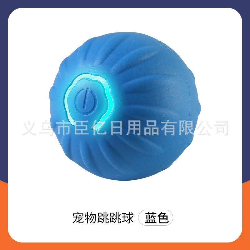 Interactive Pet Ball Toy for Cats & Dogs – Durable TPR Bouncy Ball for Active Play & Exercise