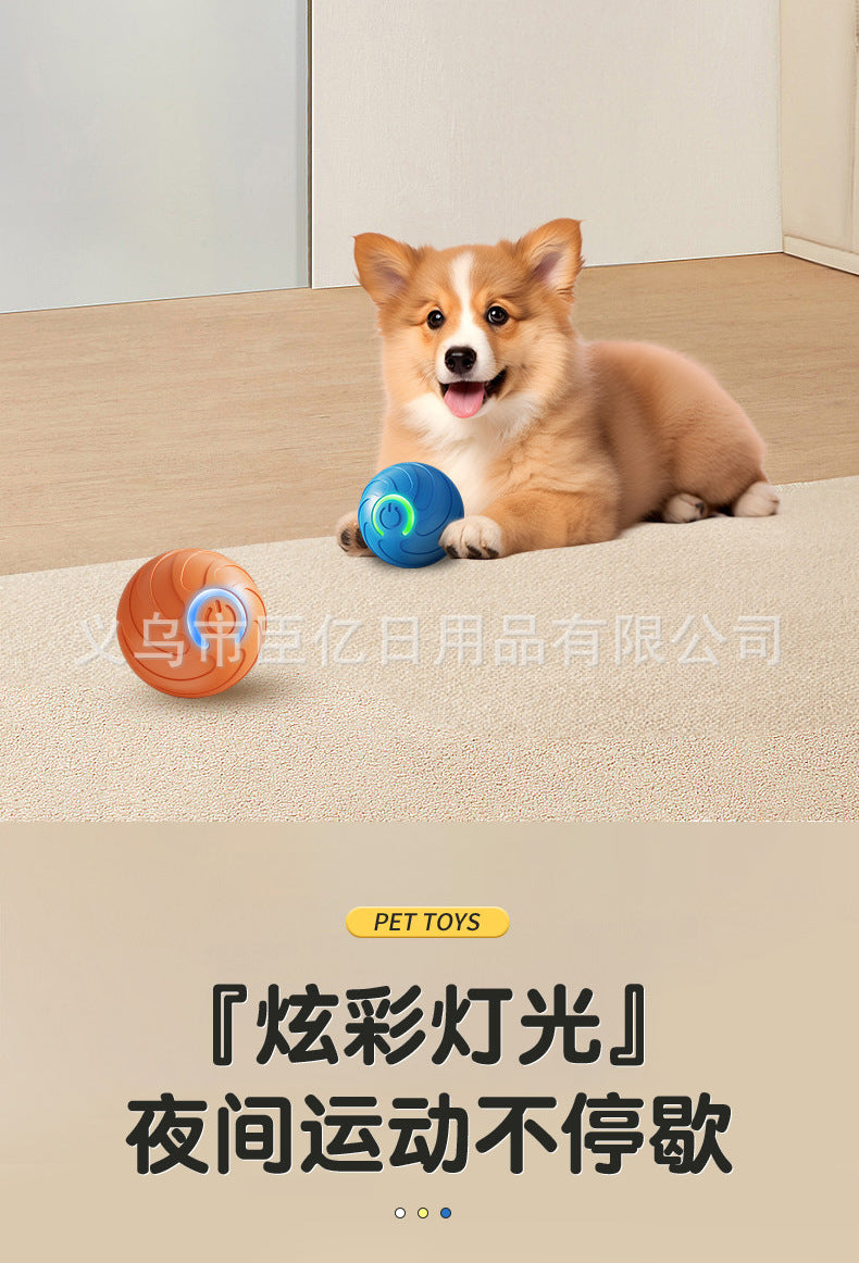 Interactive Pet Ball Toy for Cats & Dogs – Durable TPR Bouncy Ball for Active Play & Exercise