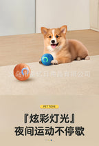 Interactive Pet Ball Toy for Cats & Dogs – Durable TPR Bouncy Ball for Active Play & Exercise
