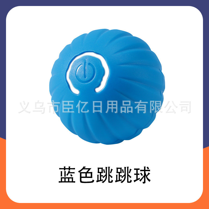 Interactive Pet Ball Toy for Cats & Dogs – Durable TPR Bouncy Ball for Active Play & Exercise