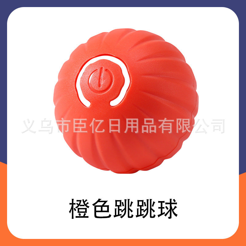Interactive Pet Ball Toy for Cats & Dogs – Durable TPR Bouncy Ball for Active Play & Exercise