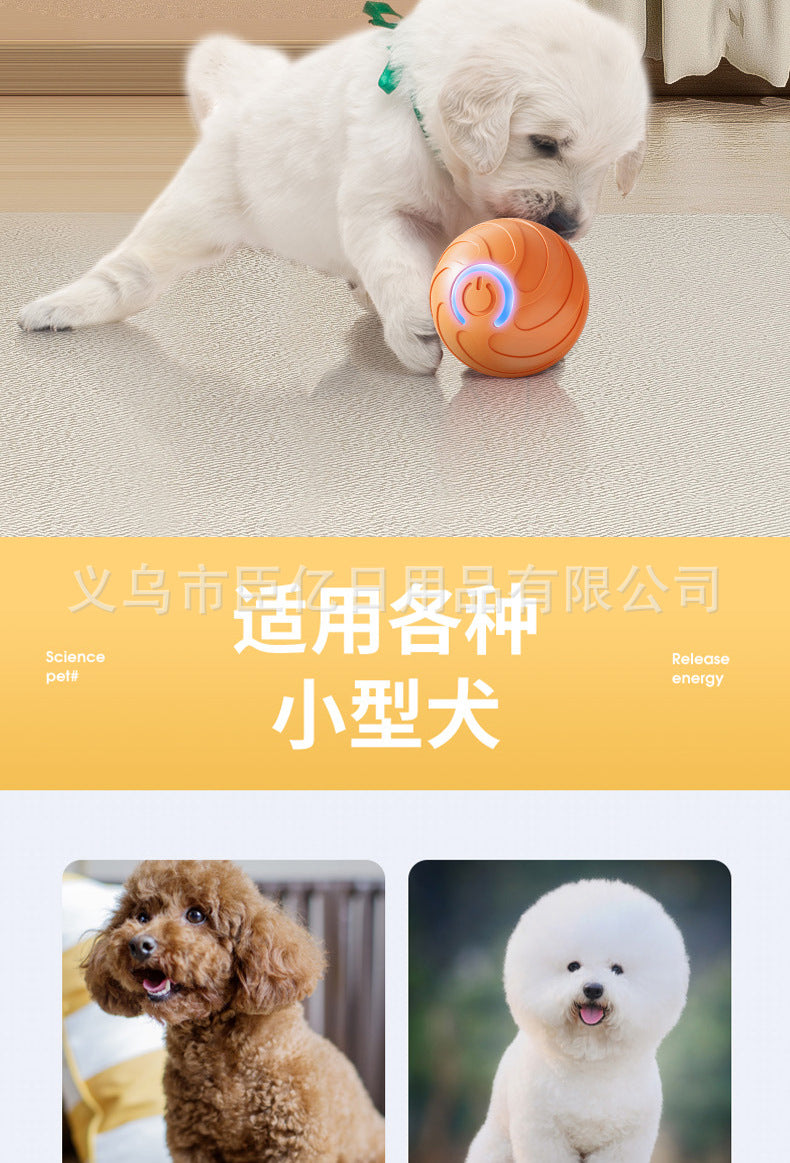 Interactive Pet Ball Toy for Cats & Dogs – Durable TPR Bouncy Ball for Active Play & Exercise