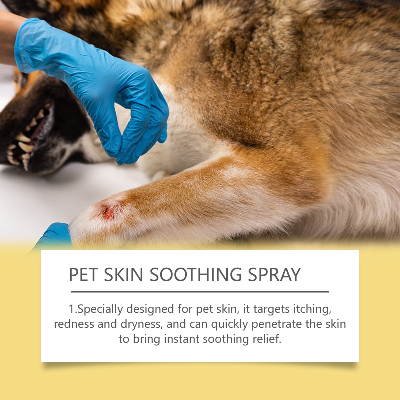 Pet Skin Care Spray 50ml – Soothing Skin Support & Coat Care Spray for Dogs and Cats