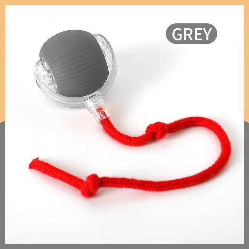 Interactive Pet Ball Toy for Cats & Dogs – Durable TPR Bouncy Ball for Active Play & Exercise