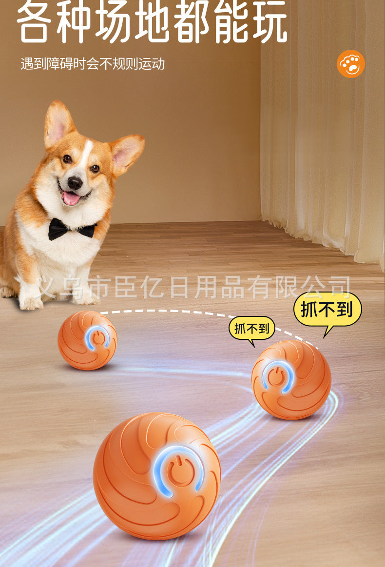 Interactive Pet Ball Toy for Cats & Dogs – Durable TPR Bouncy Ball for Active Play & Exercise