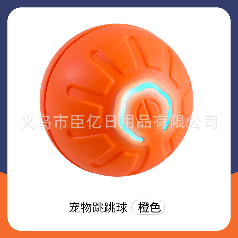 Interactive Pet Ball Toy for Cats & Dogs – Durable TPR Bouncy Ball for Active Play & Exercise