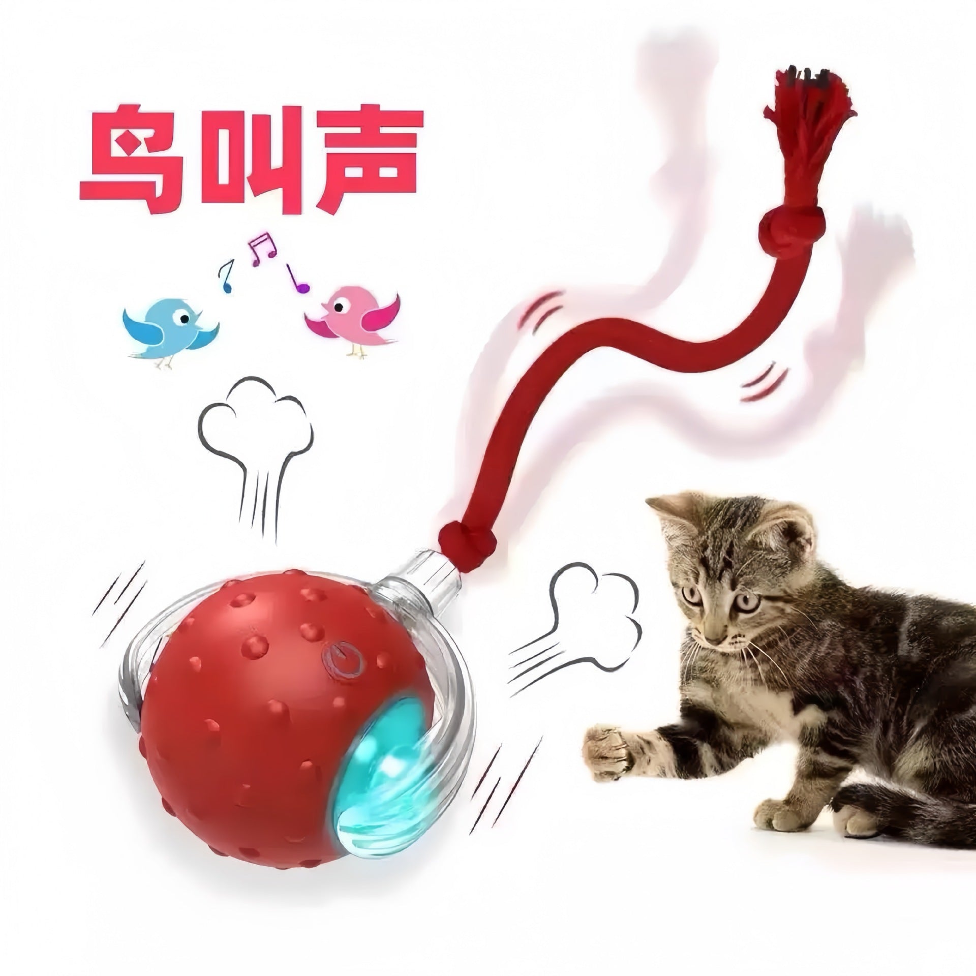Interactive Pet Ball Toy for Cats & Dogs – Durable TPR Bouncy Ball for Active Play & Exercise