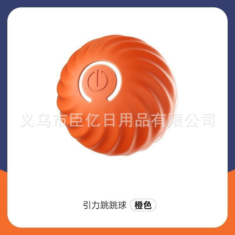Interactive Pet Ball Toy for Cats & Dogs – Durable TPR Bouncy Ball for Active Play & Exercise