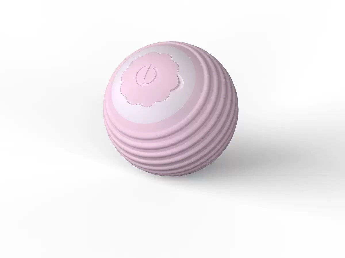 Interactive Pet Ball Toy for Cats & Dogs – Durable TPR Bouncy Ball for Active Play & Exercise