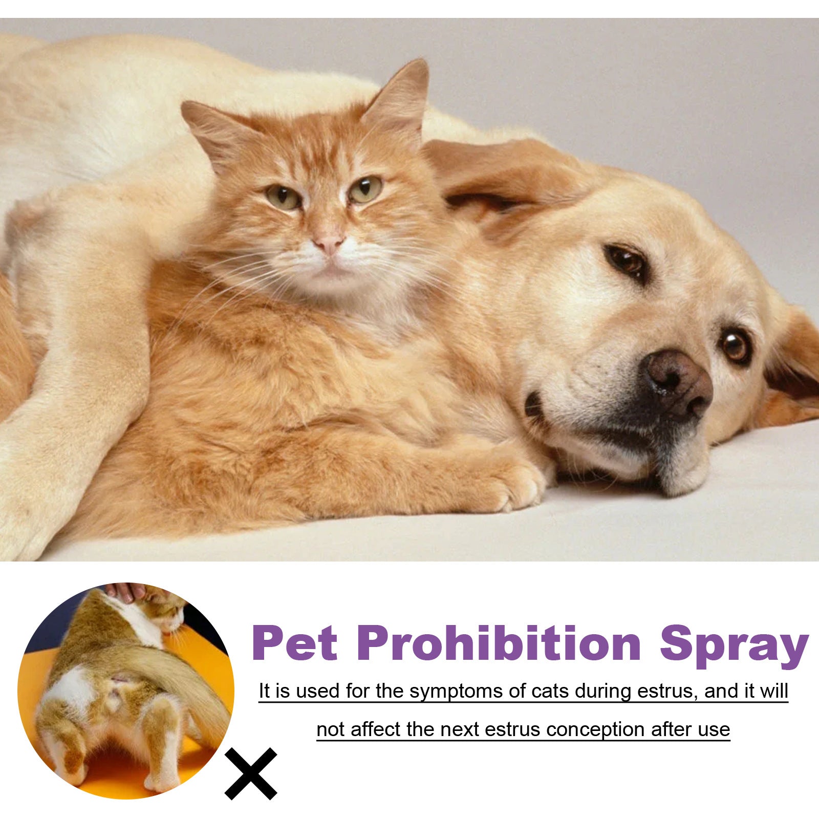 Pet Calming Spray for Dogs and Cats | Pheromone Anxiety Relief and Mood Relaxation Spray