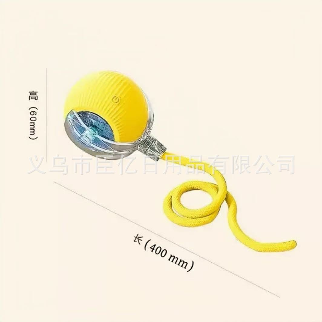 Interactive Pet Ball Toy for Cats & Dogs – Durable TPR Bouncy Ball for Active Play & Exercise