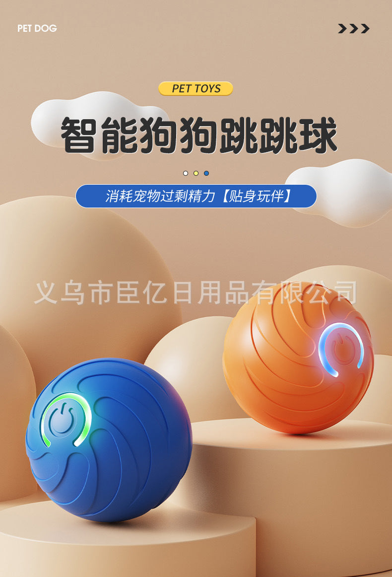 Interactive Pet Ball Toy for Cats & Dogs – Durable TPR Bouncy Ball for Active Play & Exercise