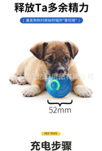 Interactive Pet Ball Toy for Cats & Dogs – Durable TPR Bouncy Ball for Active Play & Exercise