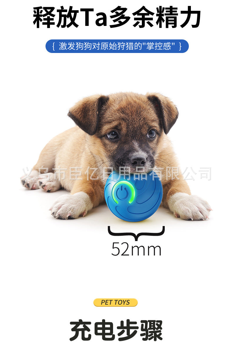 Interactive Pet Ball Toy for Cats & Dogs – Durable TPR Bouncy Ball for Active Play & Exercise