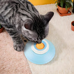 Dog Slow Feeder Lick Bowl with Suction Cup – Anti-Choking Feeding Mat Toy