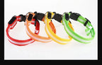 LED Nylon Dog Collar – Flashing Glow in the Dark Night Safety Collar for Dogs