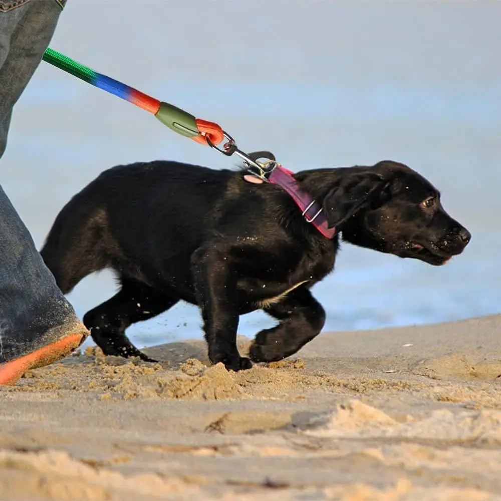 Hands Free Dog Leash Reflective Nylon Pet Walking Running Jogging Adjustable Walking Free Hands Rope Chain for Small Large Dogs
