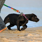 Hands Free Dog Leash Reflective Nylon Pet Walking Running Jogging Adjustable Walking Free Hands Rope Chain for Small Large Dogs