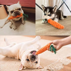 Carrot Shape Cotton Rope Dog Chew Toy for Small Medium Dogs and Cats – Bite Resistant Pet Knot Toy