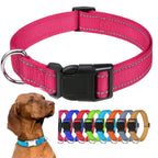Decorative Choker Dog Collar for Small Puppies – Adjustable Nylon Pet Neck Collar
