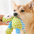 Pet Plush Puzzle Toy – Cute Animal Squeaky Chew & Teeth Cleaning Toy for Dogs & Cats