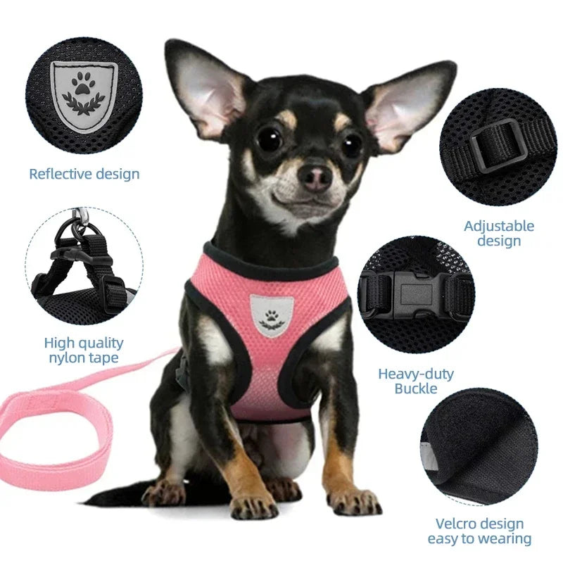 Adjustable Cat and Dog Harness Vest with Leash | Breathable Reflective Mesh Walking Harness for Small Medium Pets