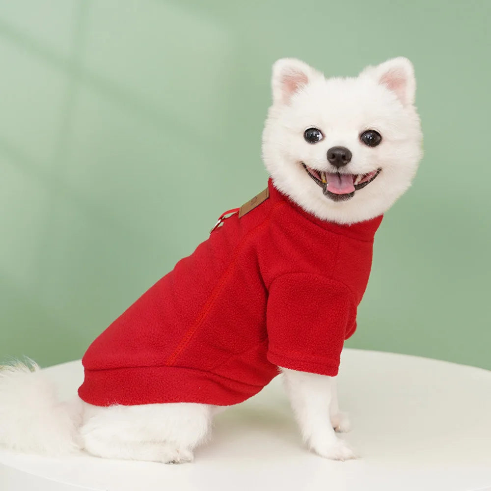 Winter Warm Dog Hoodies Pet Clothes for Small Dogs Fashion Solid Color Puppy Sweatshirt Soft Cat Pullovers Chihuahua Pet Hoodies