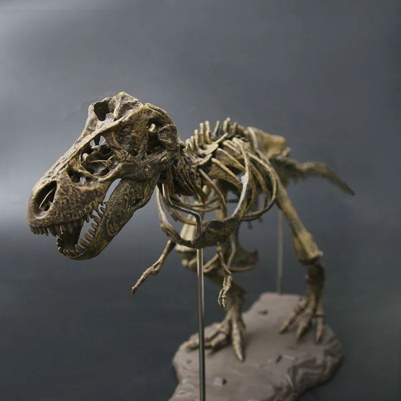 70cm DIY T-Rex Dinosaur Skeleton Model – Jurassic Fossil Assembly Ornament